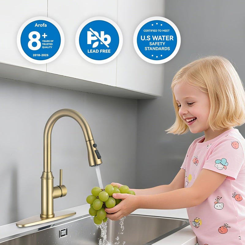 Arofa Gold Kitchen Faucet with Sprayer,Single Handle Kitchen Sink Faucet with Pull Out Sprayer, Champagne Bronze, Brushed Gold Brass Faucets for RV/Outdoor/Laundry Sink - Image 3