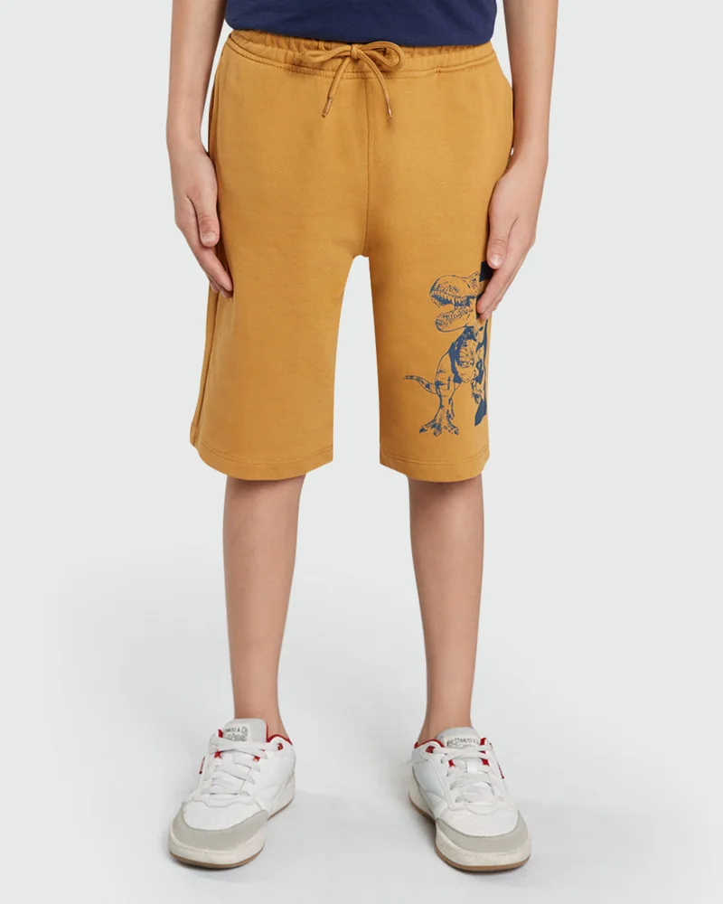Ovs Brown