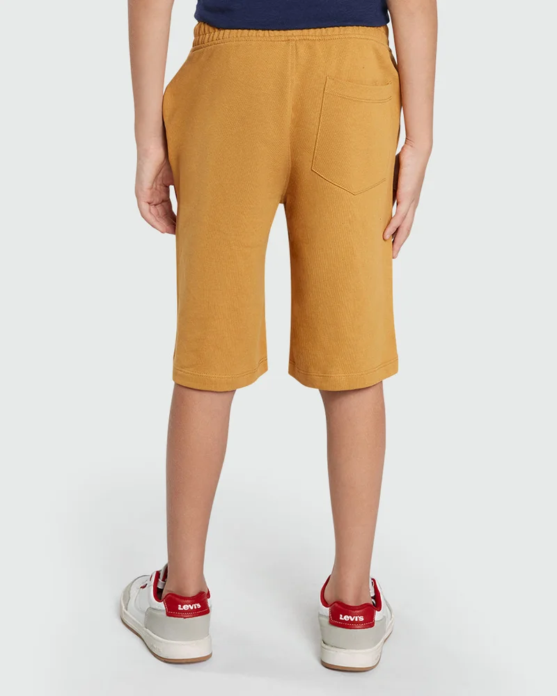 Ovs Brown Shorts For Boys – Wood Thrush Tone