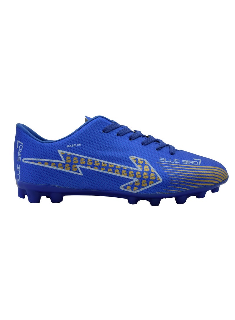 Blue Bird Sport Shoes Samba BOOTS football Stars - Image 1