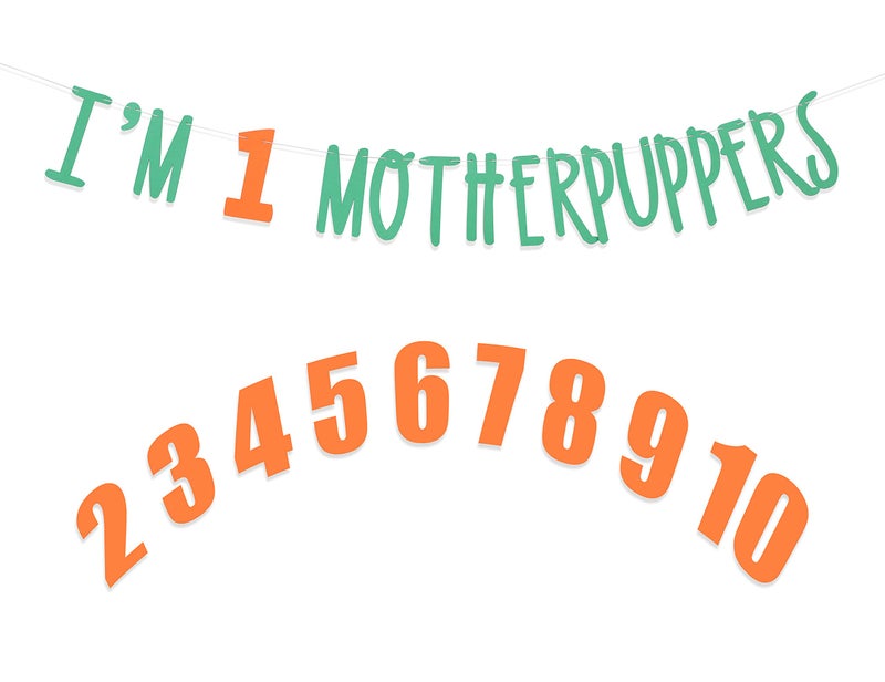 Festiko® Its My Birthday Mother Puppers Banner - Dog Birthday Commemorative Party Decorations,Dog Birthday Photo props,Happy Birthday Dog Décor,Free Combination of 0-9 Numbers,Lets Pawty (Green orange - Image 3