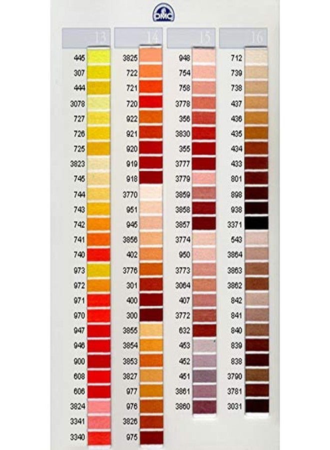 DMC 117-610 Six Stranded Cotton Embroidery Floss, Dark Drab Brown, 8.7-Yard - Image 4