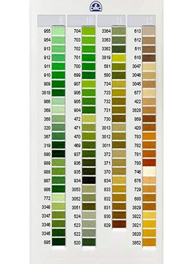 DMC 117-610 Six Stranded Cotton Embroidery Floss, Dark Drab Brown, 8.7-Yard - Image 3