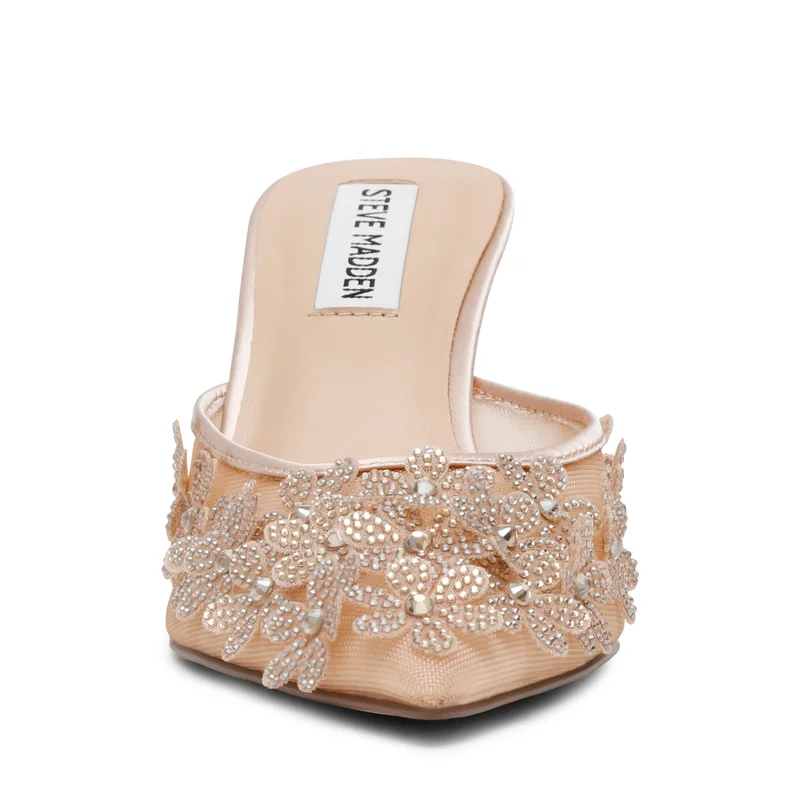 STEVE MADDEN  Sehara Appliqued Mesh Mule Pumps for Women | Best Price UAE