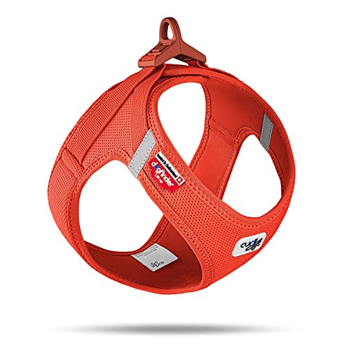 Curli Vest Harness curli Clasp AirMesh Sun Orange 3XS - Image 1