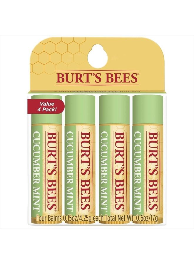 Burt's Bees 100% Natural Origin Moisturizing Lip Balm, Cucumber Mint with Beeswax, 4 Tubes - Image 2