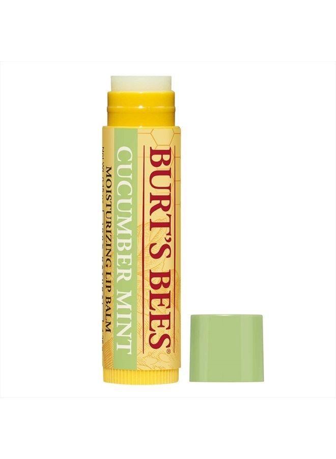 Burt's Bees 100% Natural Origin Moisturizing Lip Balm, Cucumber Mint with Beeswax, 4 Tubes - Image 5