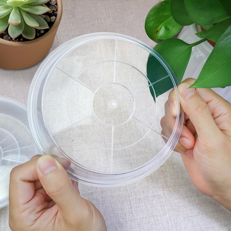FUIJOL 6 Pack Clear Plant Saucer, Durable Plant Drip Trays Saucers for Pots, No Holes Water Catcher Trays for Indoor Outdoor Planter, Sturdy Base Plate(8", Clear) - Image 5