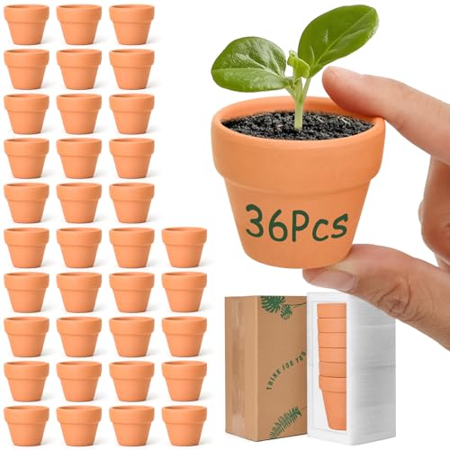 T4U Mini Terracotta Pots 36pcs 2 Inch Small Clay Pots with Drainage Holes Ideal for Succulent Cactus Plants DIY Crafts Home Decor - Image 1