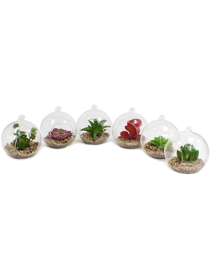 Dahlia Set of 6 Artificial Mini Succulent Potted Plant in Glass Globe Flower Pot Planter  Set A