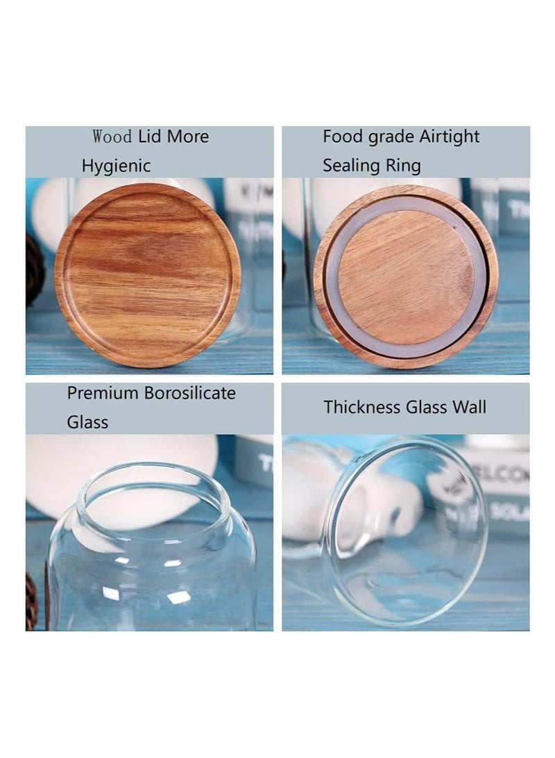 TAPIT 3PCS Large Glass Jar Set with Airtight Lids, Glass Canister Set with Wooden Lids, Glass Food Containers Suit for Kitchen Pantry for Flour, Tea, Coffee Beans, Sugar, Cookies (1250ML +2000ML+3000ML) - Image 2