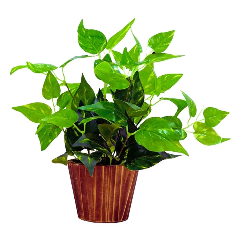 fancymart Artificial Money Plant Leaves in Wood Pot Pefect Decoration for Home & Office Space - Image 1