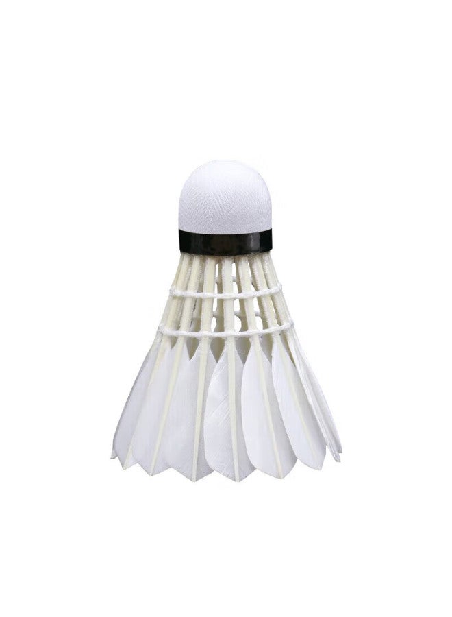 Rsl Badminton Training Practice Shuttles Daitongli Dtl-83, Speed 76, 12 Pieces Per Tube - Image 2