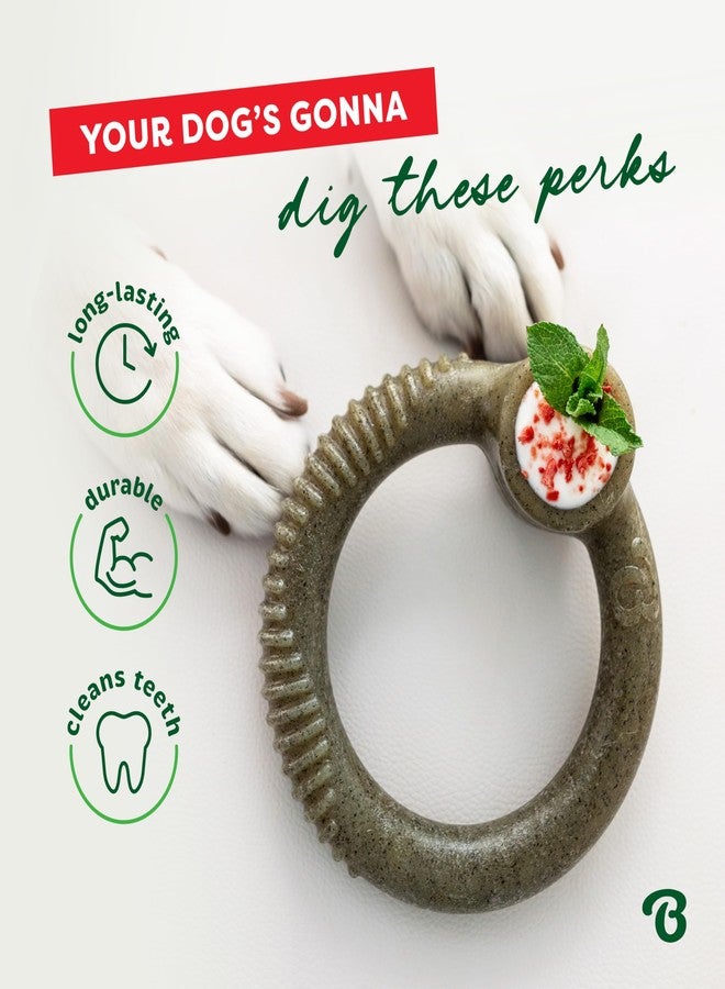 Benebone Peppermint Ring - Limited Edition Holiday Flavor, Durable Chew Toy for Aggressive Chewers, Made in USA, Medium - Image 5