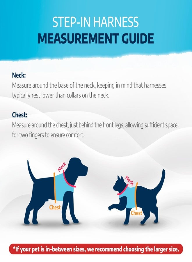 Filbert Dog Harness Small Sized Dog, Step-in Reflective Harness Small Sized Dogs, Puppy Vest, Mesh Vest, Adjustable, Soft, High Reflectivity, Breathable Fabric, Heavy Duty, Black - Image 3