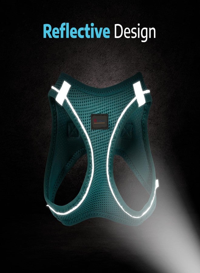 Filbert Dog Harness Small Sized Dog, Step-in Reflective Harness Small Sized Dogs, Puppy Vest, Mesh Vest, Adjustable, Soft, High Reflectivity, Breathable Fabric, Heavy Duty, Black - Image 5