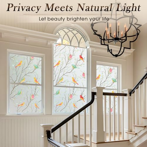 Coavas Privacy Window Film Opaque Non-Adhesive Frosted Bird Window Film Decorative Glass Film Static Cling Film Bird Window Stickers for GF-WF-90-2B Home Office 23In. by 78.7In. (60 x 200Cm) - Image 2