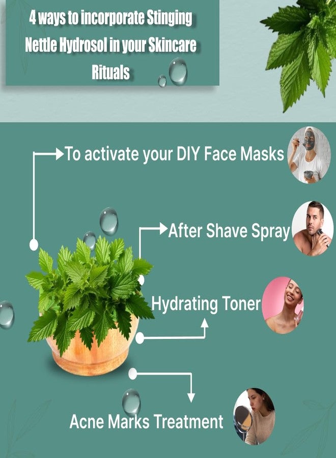 Vriksha Veda Stinging Nettle Hydrosol I Steam Distilled I Skin & Hair Detoxifier I Suitable for all Skin & Hair Types I Toner I 100 ml - Image 4