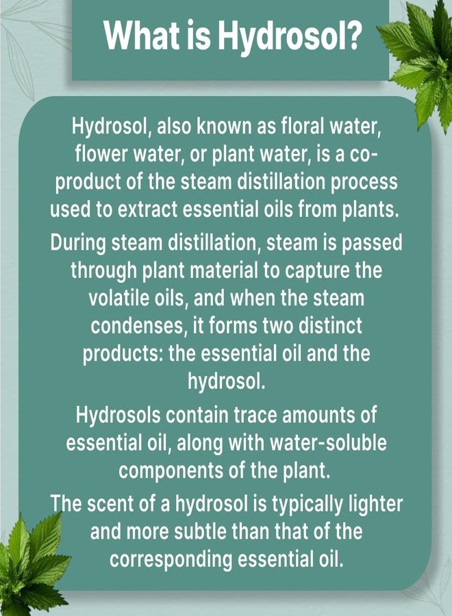 Vriksha Veda Stinging Nettle Hydrosol I Steam Distilled I Skin & Hair Detoxifier I Suitable for all Skin & Hair Types I Toner I 100 ml - Image 3