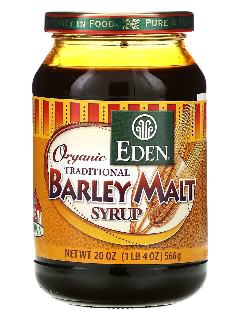 Eden Foods - Eden Foods, Organic Traditional Barley Malt Syrup, 20 oz (566 g) - Image 1