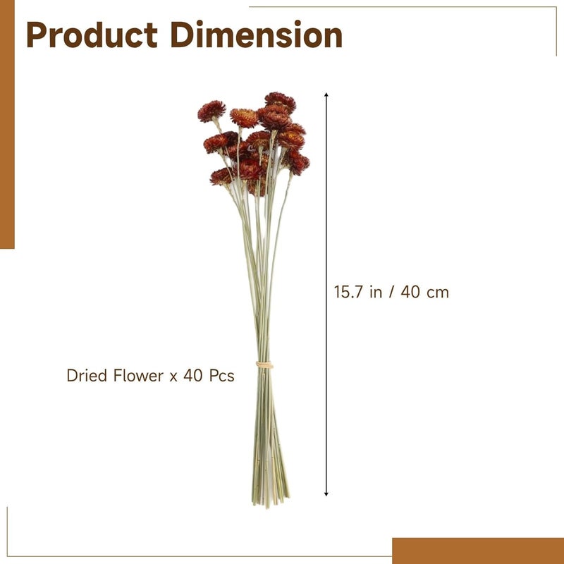 40 Pcs Real Red Strawflowers Dried Flowers, 15.7 in, Natural Bulk for Home Decor, DIY Floral Arrangement, Wedding & Party - Image 5