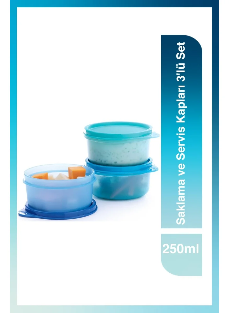 تابروير Storage and Serving Containers Set of 3 250ml