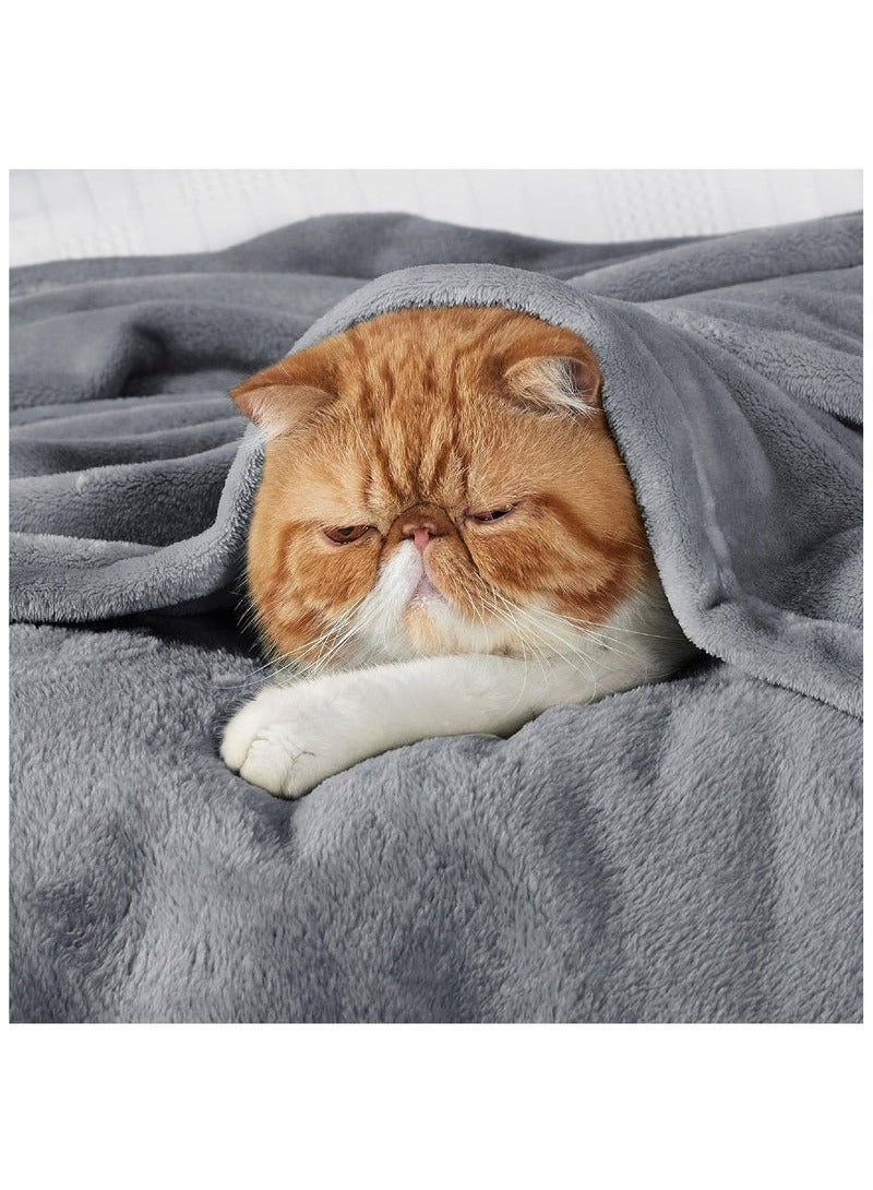 ريليو بطانية من الفلانيل الصوفية بلون المرجان، ناعمة للغاية وخفيفة الوزن، بطانية سرير فاخرة من الألياف الدقيقة، ناعمة ومريحة للغاية لجميع المواسم، مناسبة للسرير والأريكة والسفر والتخييم،  بطانيه خفيفه بطانية ثقيلة شتوية بطانيات شتويه 120×200 سم - Image 5