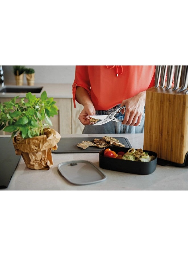 بيرجوف ليو ليجسي مقص دواجن بمقبض مجوف فضي 1.6 × 4.66 × 23.3 سم 3950367 - Image 2