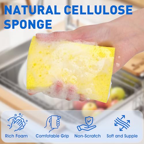 NEOACT 24 Pack Compressed Cellulose Sponge, Non Scratch Kitchen Sponges for Dish Cleaning, Multipurpose Household Cleaning Sponge for Kitchens, Bathrooms, Cars - Image 4