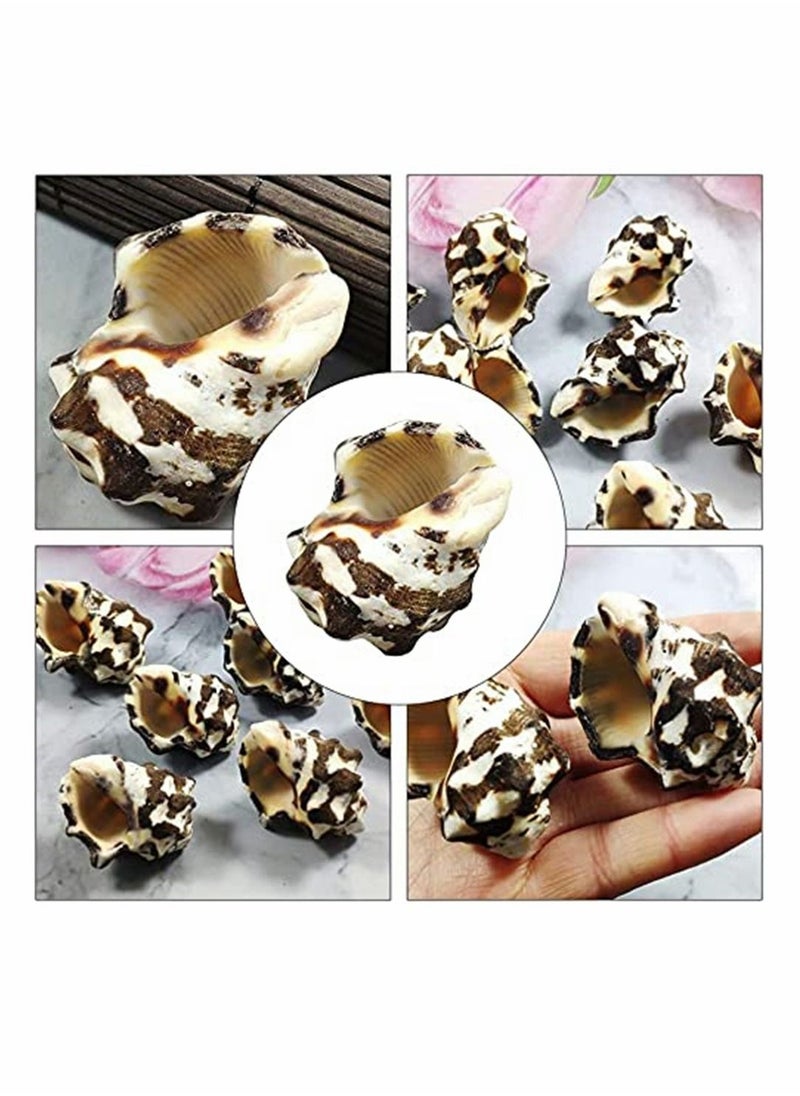Y&D Shell Decorations, 1 Pcs Aquarium Conch Sea Shells Beach Seashells Fish Tank Decor, Cave for Hiding Accessories Decorations  - Image 4