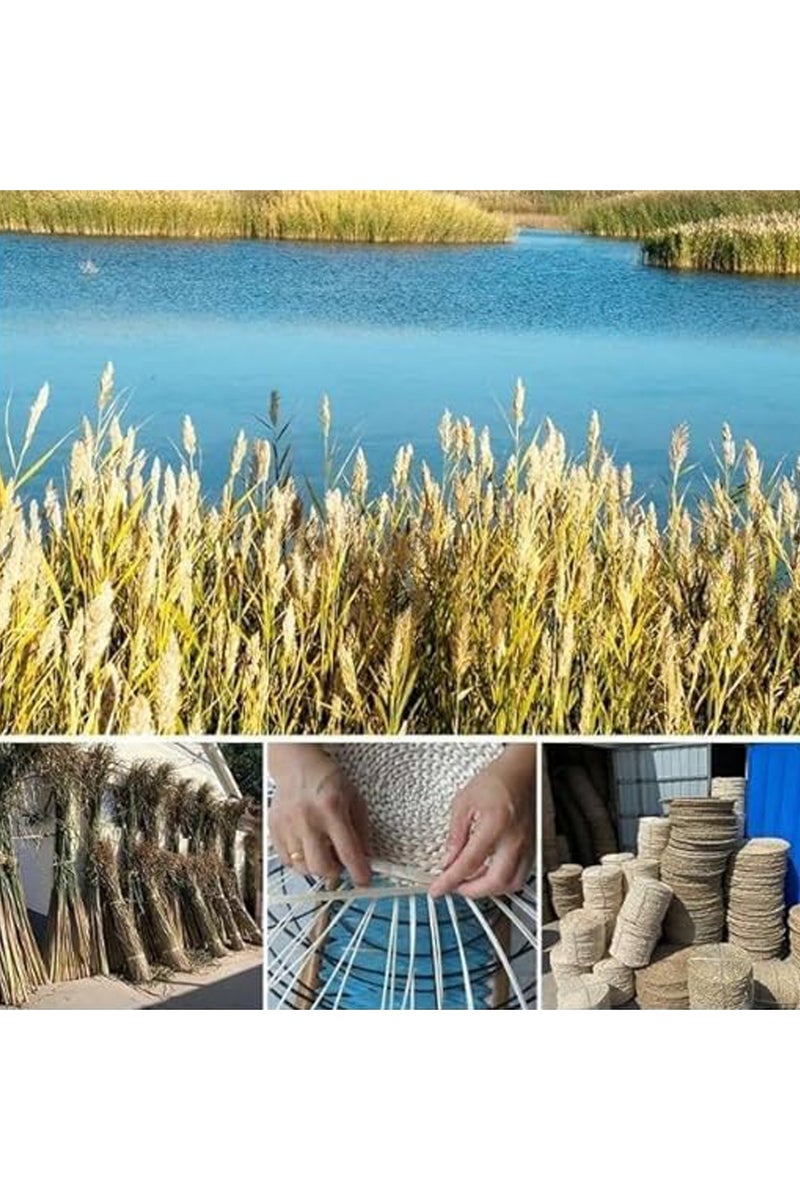 LINGWEI Handmade Straw Flat Seat Cushion Hand Woven Tatami Floor Cushion Floor Pillow Sitting Cushion for Living Room Bedroom - Image 5