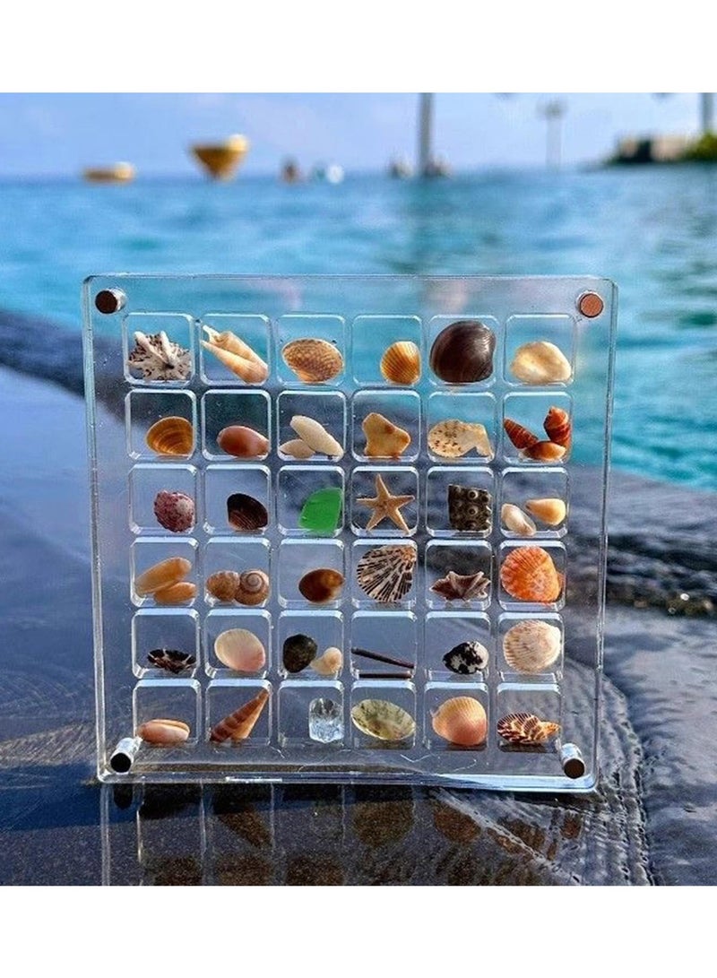 Acrylic Magnetic Seashell Display Box,Portable Display Box,36 Grids Diamond Gemstone Beads Storage Display Organizer Box,Clear Mini Seashell Storage Box - Image 1