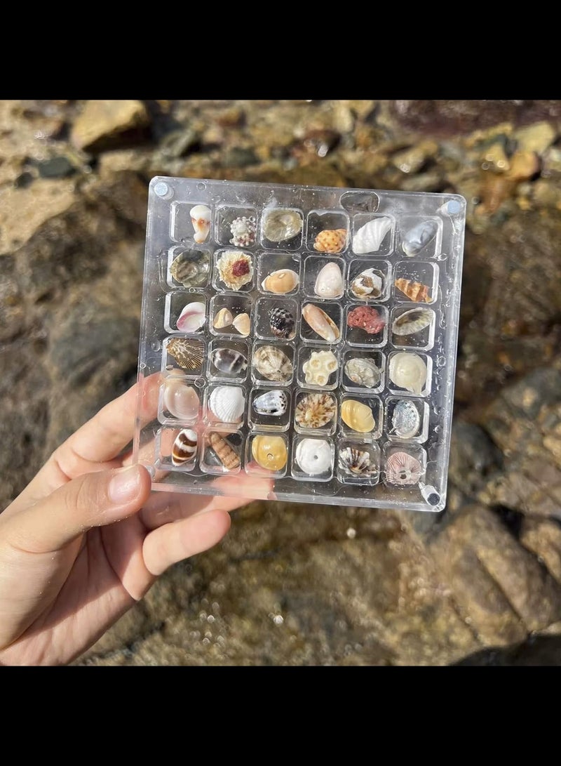 Acrylic Magnetic Seashell Display Box,Portable Display Box,36 Grids Diamond Gemstone Beads Storage Display Organizer Box,Clear Mini Seashell Storage Box - Image 3