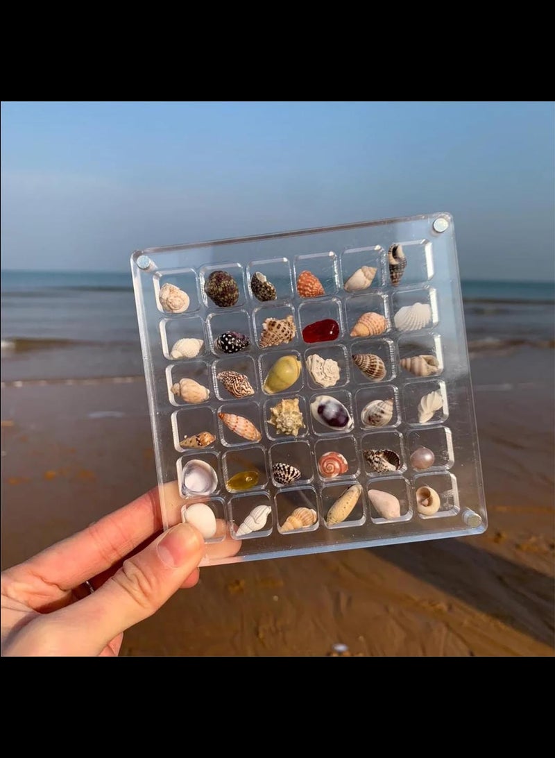 Acrylic Magnetic Seashell Display Box,Portable Display Box,36 Grids Diamond Gemstone Beads Storage Display Organizer Box,Clear Mini Seashell Storage Box - Image 2