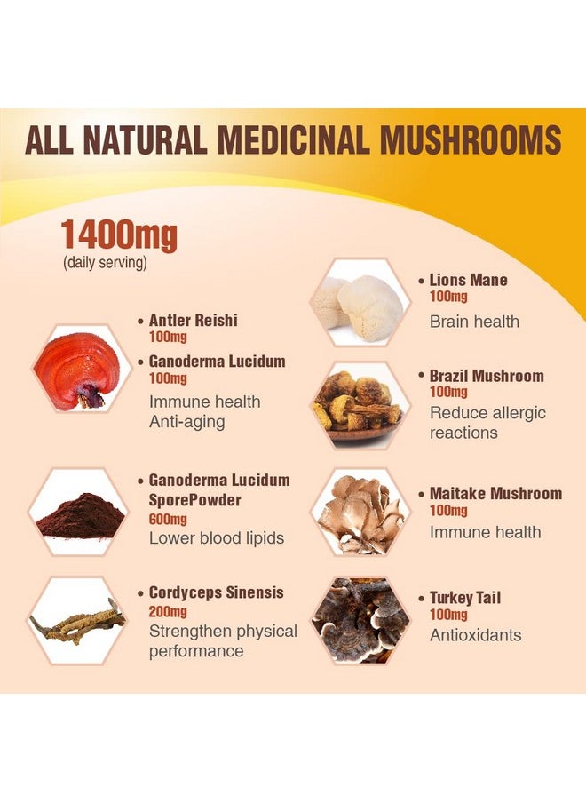Mushroom Supplement 8 In 1 Mushroom Complex Lions Mane Turkey Tail Mushroom Cordyceps Reishi Mushroom Maitake Mushroom For Natural Energy & Memory Support 100 Capsules (Pack Of 3)