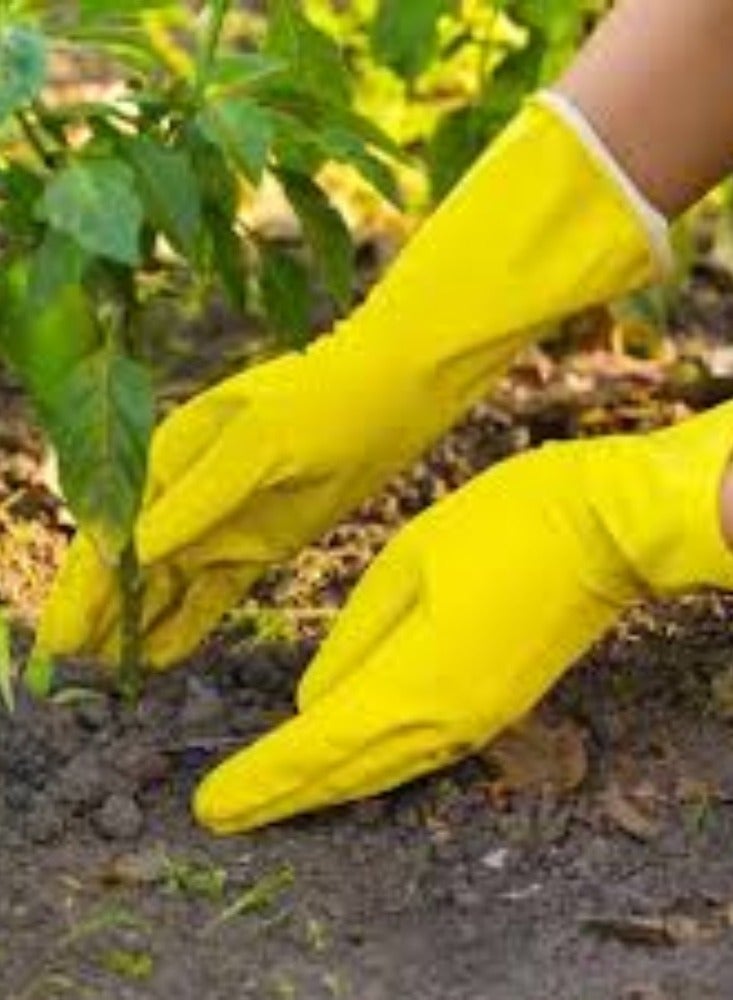 KNP KNP Yellow Rubber Glove (Medium) is designed for a variety of applications requiring hand protection.  - Image 2