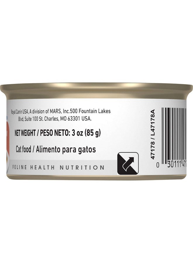 رويال كانين طعام القطط البالغة من مجموعة Morsels In Gravy للقطط المنزلية، عبوة 3 أونصة (24 قطعة) - Image 3