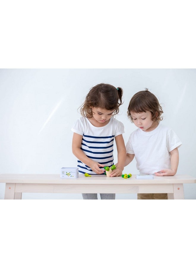 PlanToys PLAN TOYS Planmini Balancing Cactus, 1 EA - Image 4