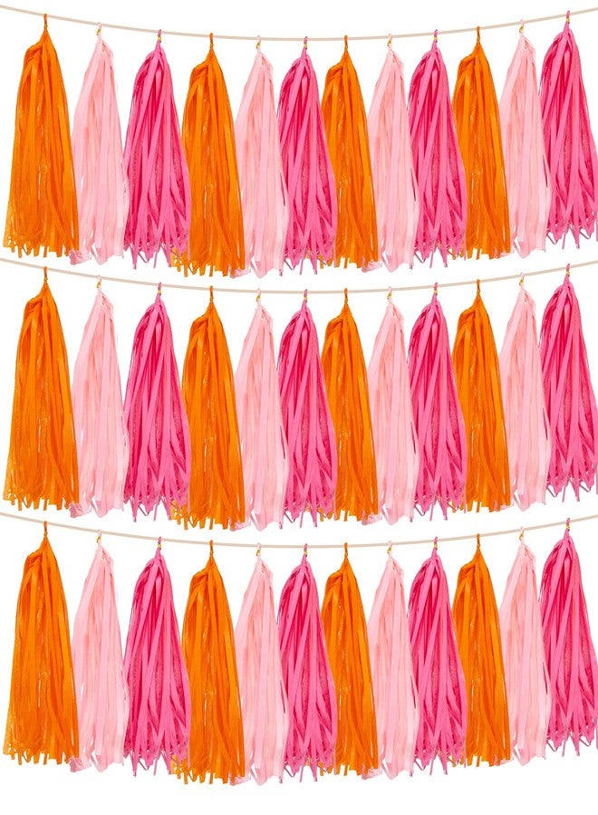 Rainflow Pink Tassel Garland Party Decorations – 15 Tissue Paper Tassels Banner in Rose Red and Orange for Birthday Decorations, Pink Birthday Party Decor, Graduation, Baby Shower Valentines Backdrop - Image 1