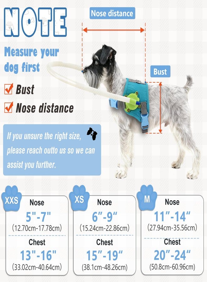 LetPetRun Blind Dog Halo Harness, Adjustable Protective Safety Ring,Navigation Aid for Visually Impaired Pets (XS for 15-19In) - Image 3