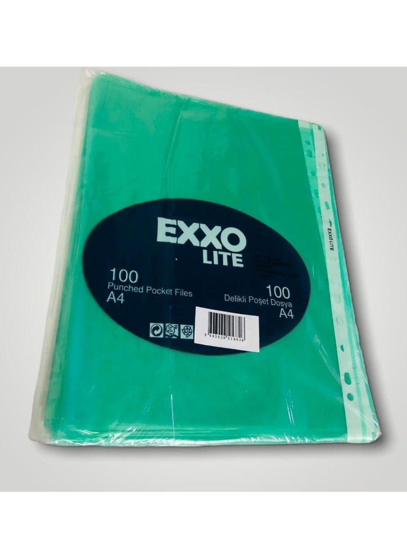 Colored PP Bag File Light Green A4 100LU - pzsku/ZDB307E2BD3FAADAD8529Z/45/_/1728631269/39530c80-6b66-4304-bee8-4f02453f2b20