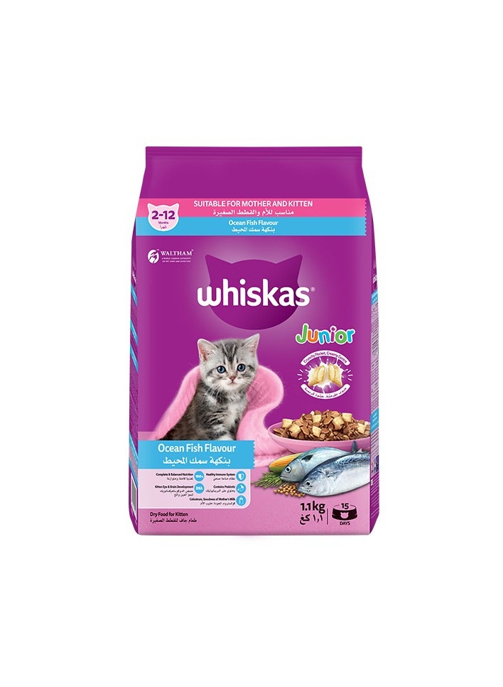 ويسكاس سمك المحيط والحليب طعام جاف للقطط الصغيرة 2-12 شهر 1.1 كغم من ويسكاس - Image 1