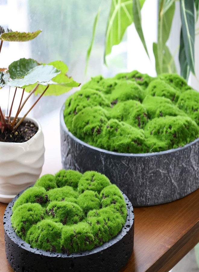 NAHARO New Moss Bowl,8''Handmade Cement Bowl–Artificial Moss Centerpiece for Home Decoration, Living Room, Office, or Coffee Table Display - Image 4