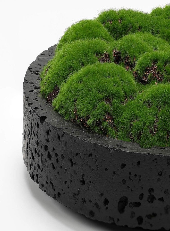 NAHARO New Moss Bowl,8''Handmade Cement Bowl–Artificial Moss Centerpiece for Home Decoration, Living Room, Office, or Coffee Table Display - Image 3