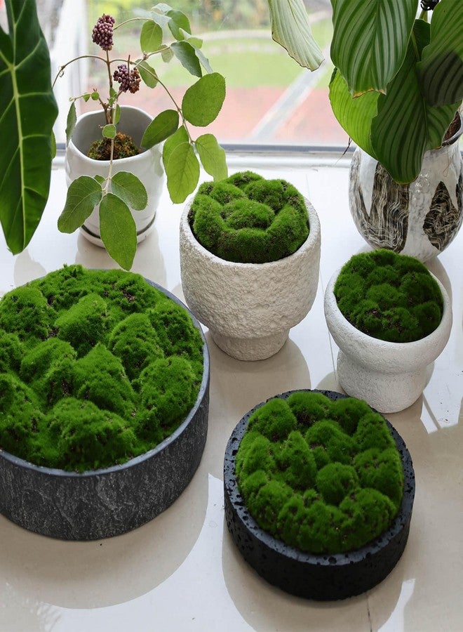 NAHARO New Moss Bowl,8''Handmade Cement Bowl–Artificial Moss Centerpiece for Home Decoration, Living Room, Office, or Coffee Table Display - Image 5