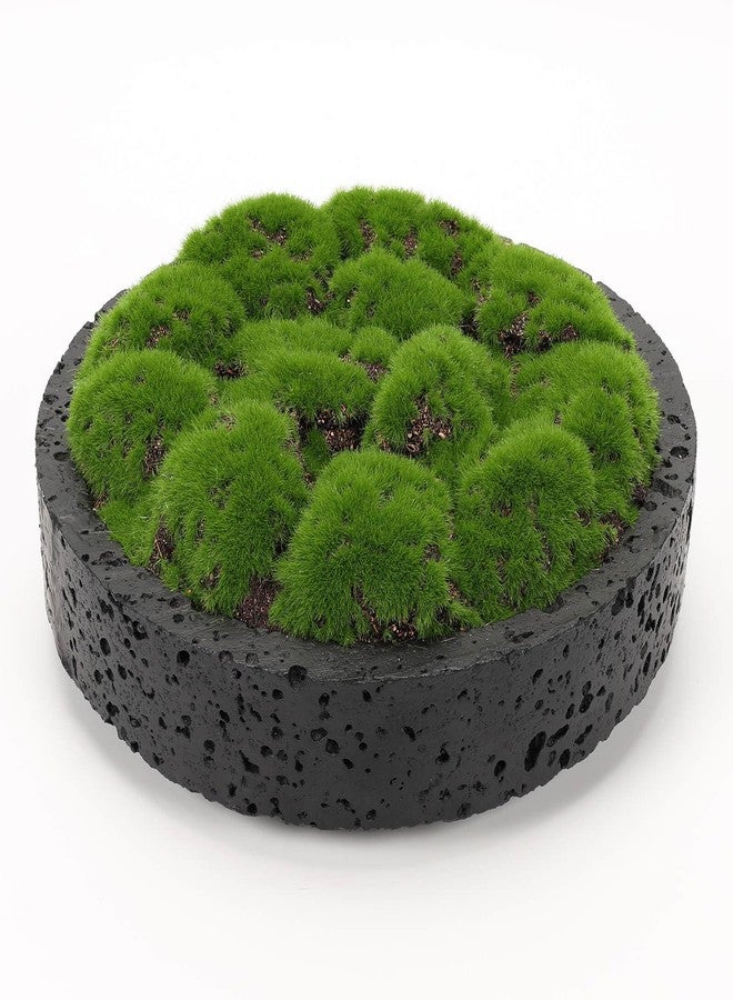 NAHARO New Moss Bowl,8''Handmade Cement Bowl–Artificial Moss Centerpiece for Home Decoration, Living Room, Office, or Coffee Table Display - Image 1