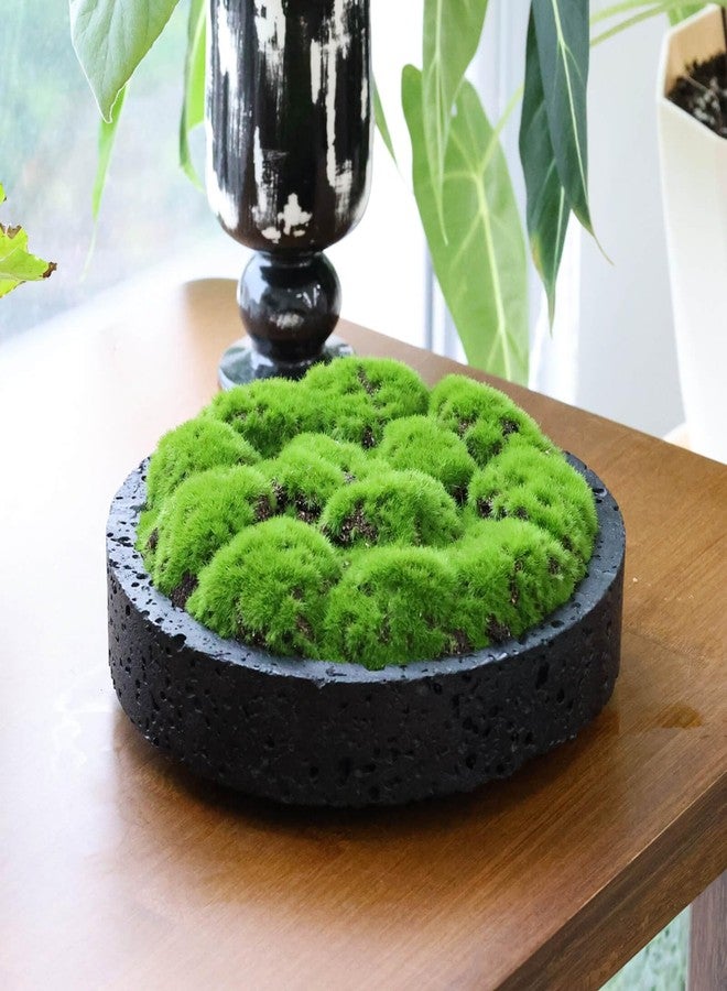 NAHARO New Moss Bowl,8''Handmade Cement Bowl–Artificial Moss Centerpiece for Home Decoration, Living Room, Office, or Coffee Table Display - Image 2