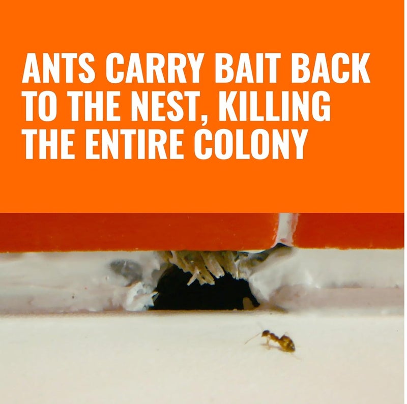 TERRO Liquid Ant Baits 6 Pack, Ready to Use Ant Killer Bait Stations, Indoor & Outdoor Ant Control Solution, Pre Filled Borax Formula, Eliminates Household Ants, Long Lasting Pest Control - Image 5