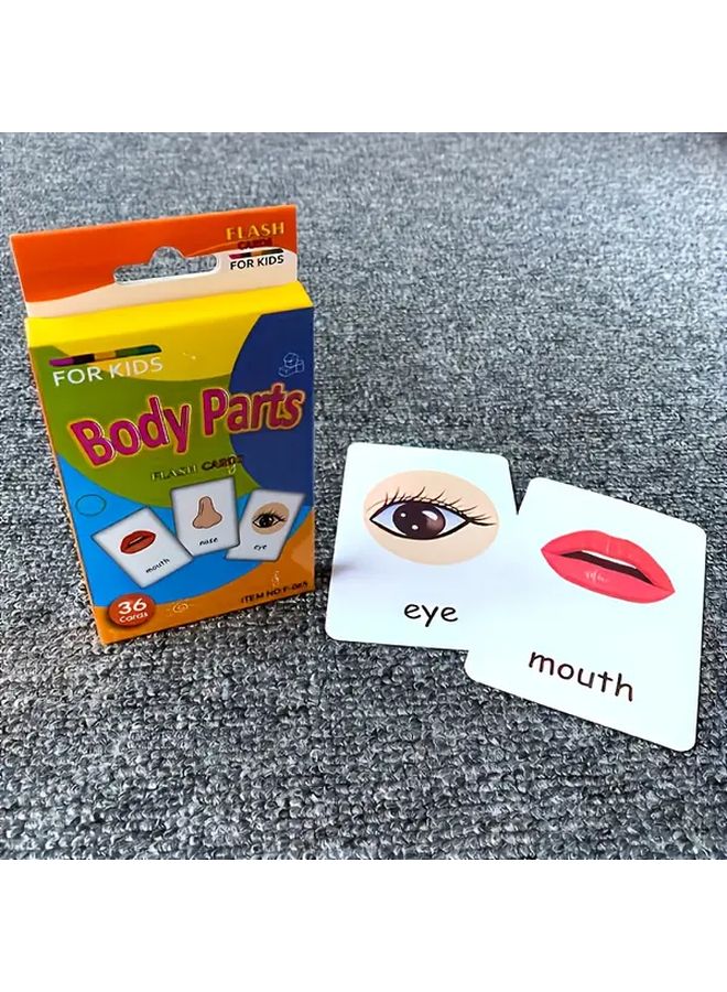 Body Parts Learning Flash Cards Educational Visual Teaching Tools - Image 5