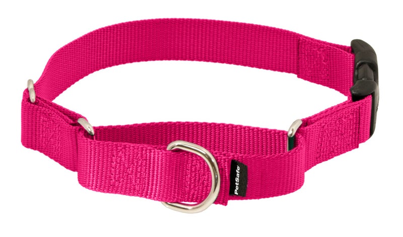 PetSafe Adjustable Martingale Collar - Improves Leash Manners - Escape Prevention - Gentle Behavior Training - Durable Nylon - Alternative to Choke Collar - Medium 3/4" - Raspberry Pink - Image 1